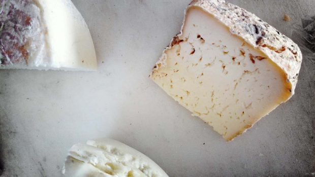 Pastel salado de queso de cabra, mozarela y lacón