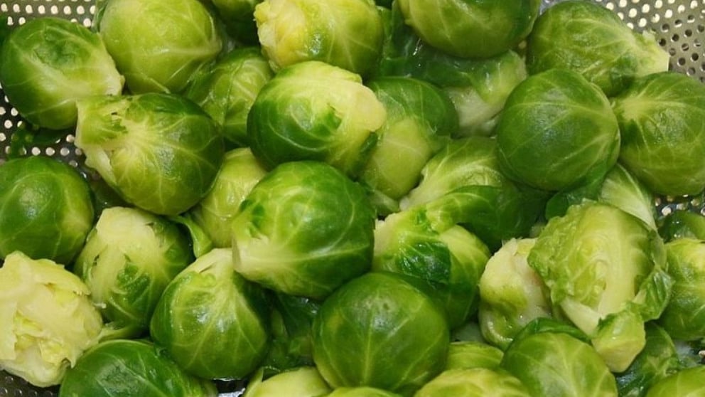 Descubre cuáles son los cinco alimentos más saludables del mundo, según Harvard