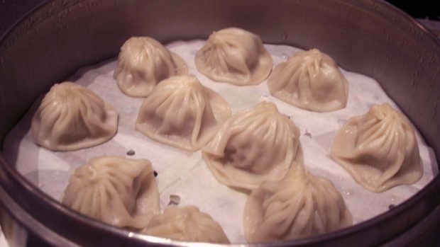 Dumplings chinos de carne