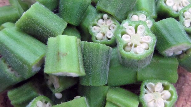 Verduras curiosas: okra