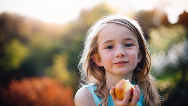 alimentos desarrollo cerebro