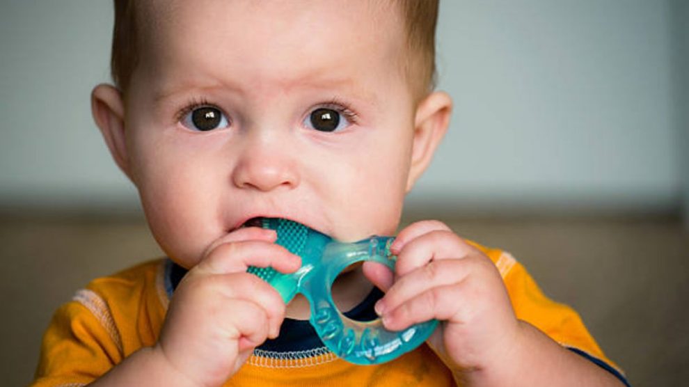 Mordedor de bebé: ¿a qué edad salen los dientes? – Cucamenta