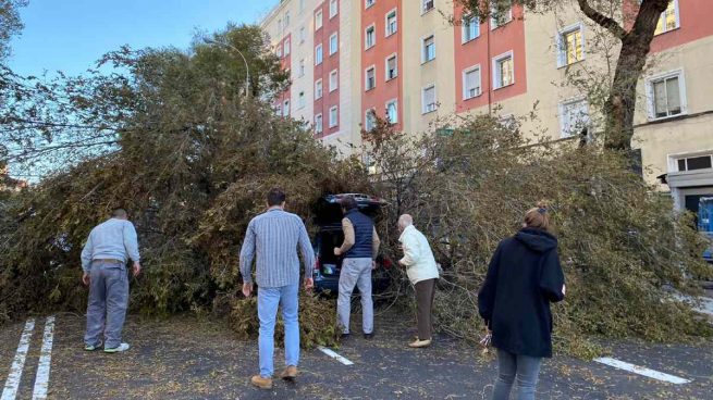 Un árbol sepulta a un coche con su conductor dentro en el centro de Madrid Lugar-donde-un-arbol-ha-caido-encima-de-un-coche-por-las-fuertes-rachas-de-viento-655x368