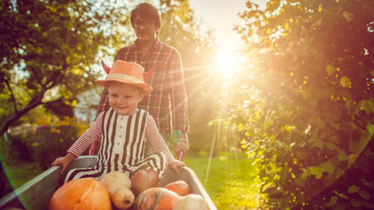 Descubre los mejores alimentos de otoño para la salud de los niños