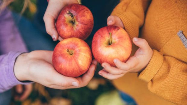 Menú de otoño para los niños: Alimentos de temporada e ideas