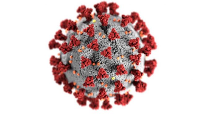 Carga viral coronavirus