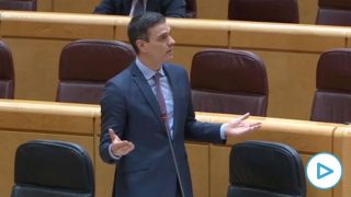Pedro Sánchez