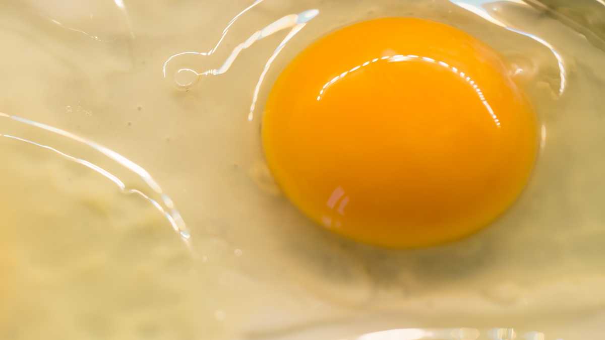 Uso de las claras de huevo