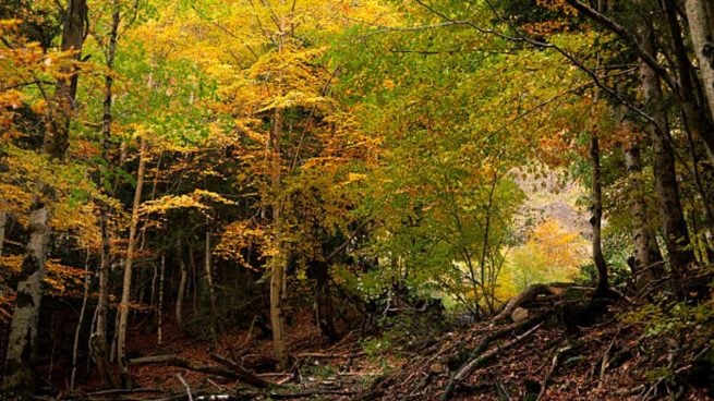 parajes norte españa otoño