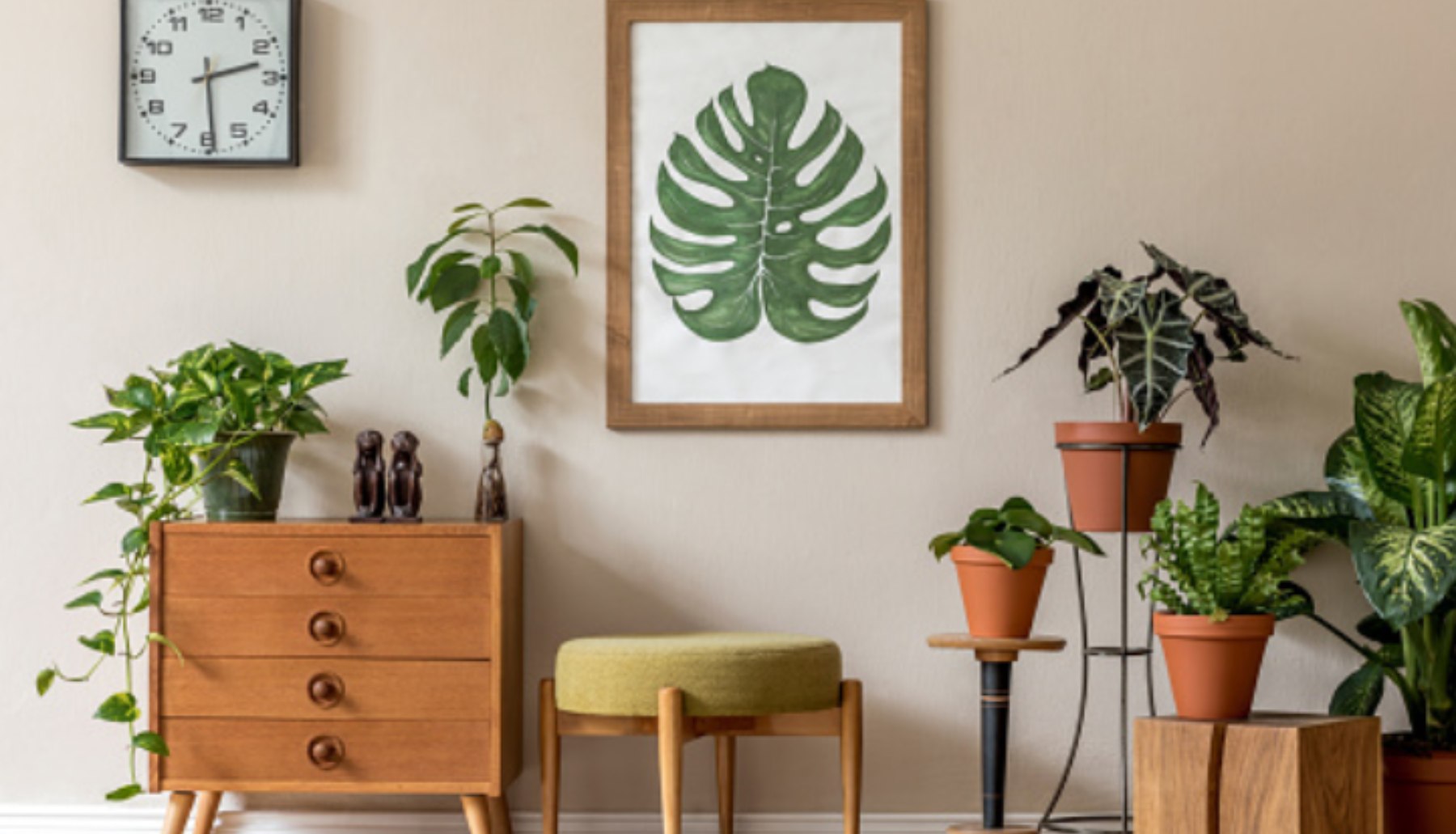 Cómo decorar con plantas de interior y flores resistentes