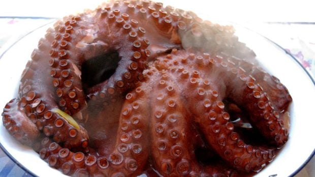 Pulpo cocido