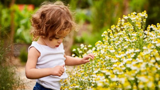 plantas tóxicas bebés niños