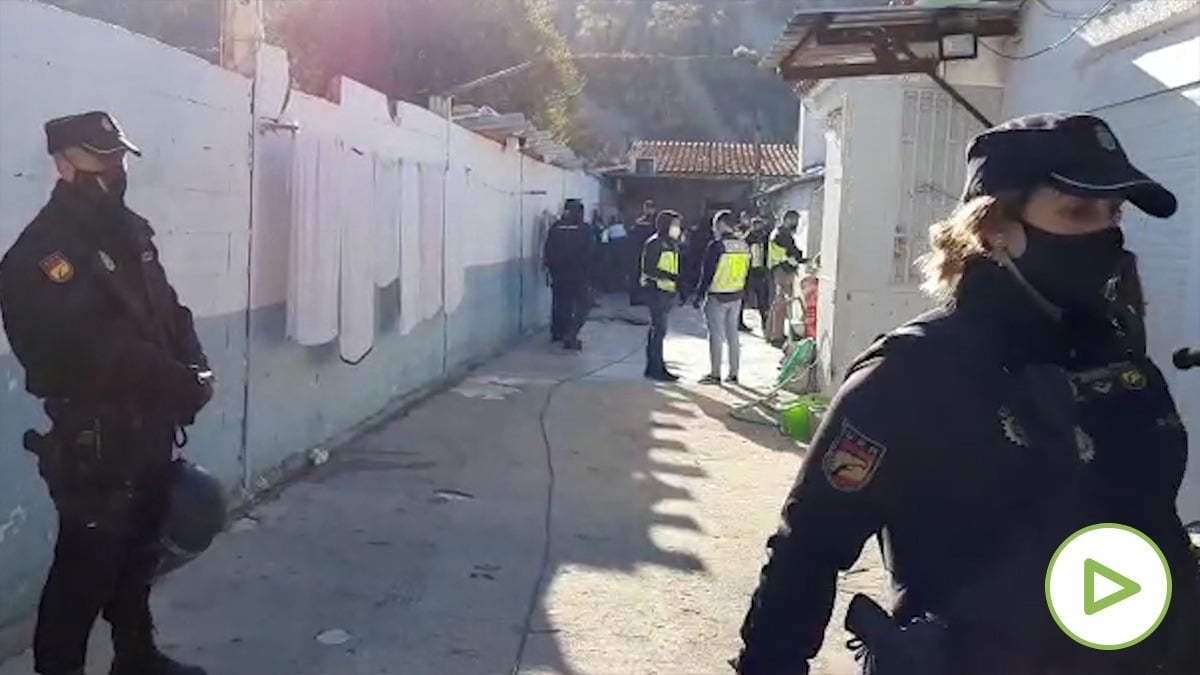 Ver vídeo
