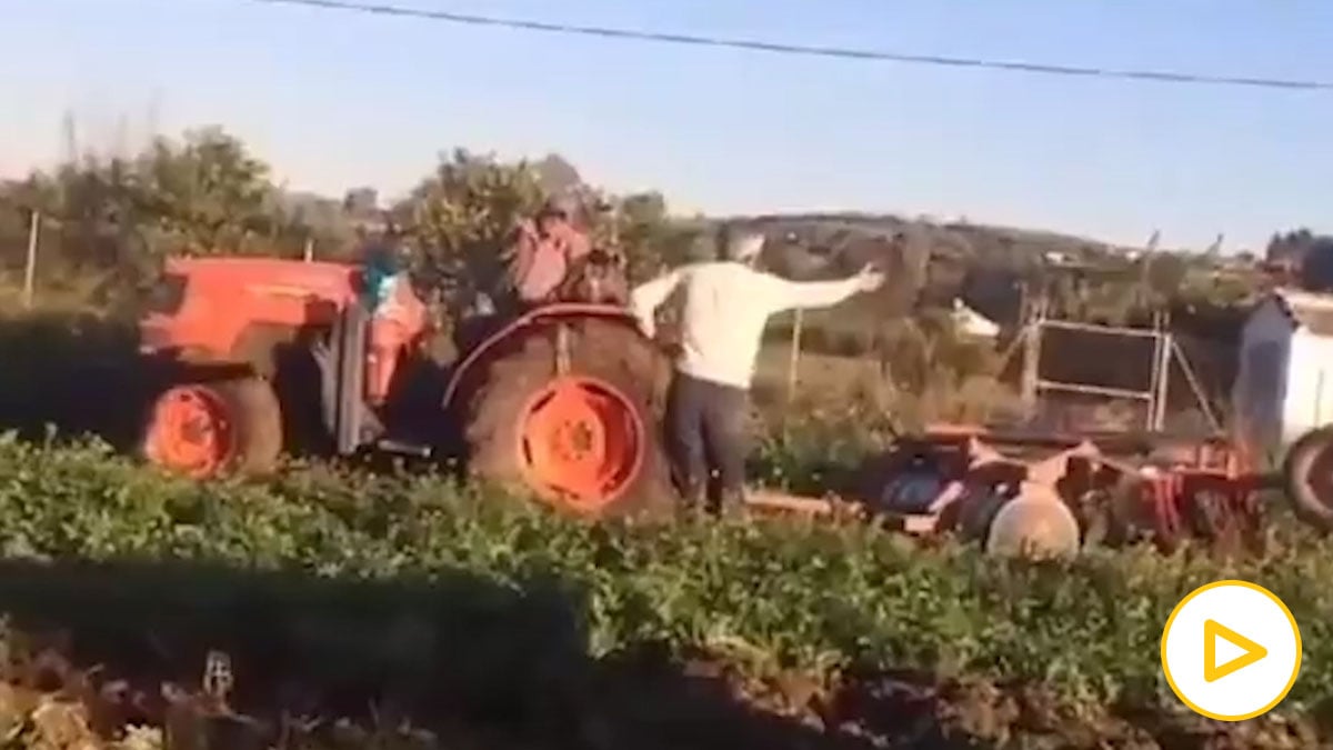 Twitter: Esta es la divertida discusión entre dos agricultores que triunfa en redes.