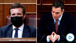 Pedro Sánchez moción
