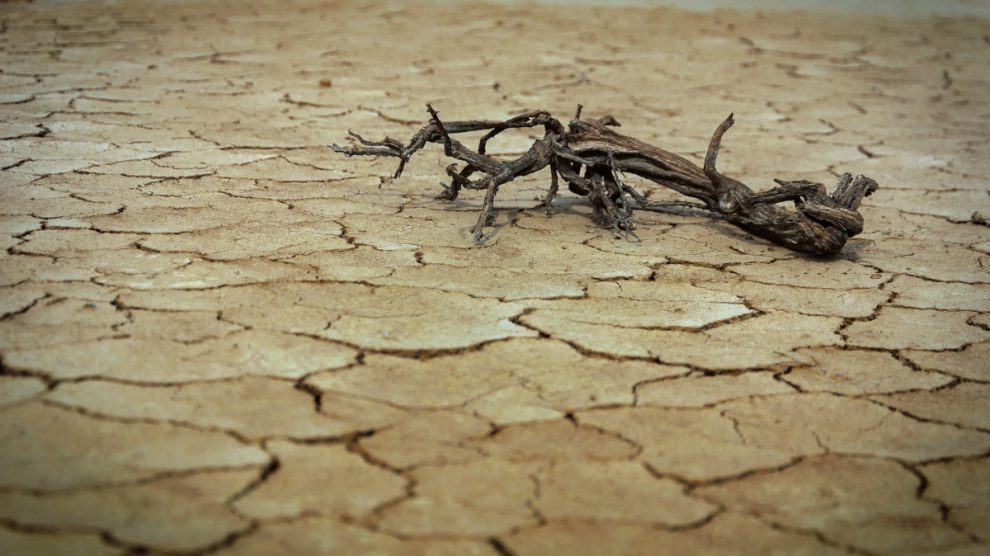 El cambio climático