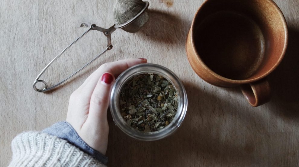 Pasos para cultivar y recolectar té en casa
