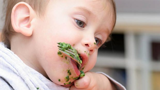 La AESAN actualiza las recomendaciones sobre el consumo de hortalizas en niños por la presencia de nitratos