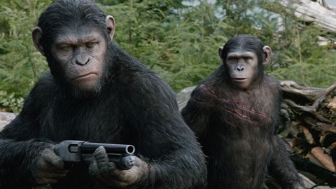La guerra del planeta de los simios, esta noche en Telecinco