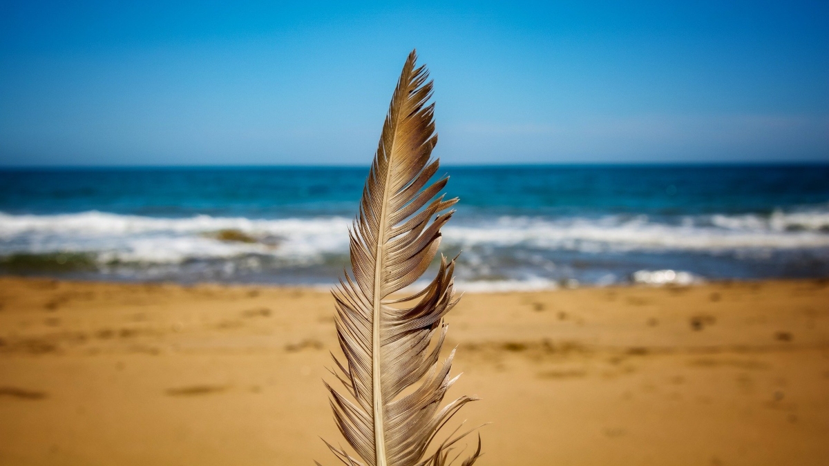 Las mejores playas de la Región de Murcia