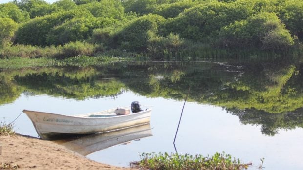 Humedales y medio ambiente