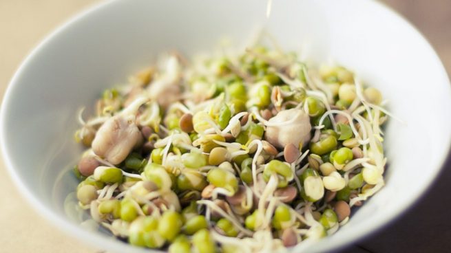 Brotes de soja: versatilidad y nutrición en la cocina