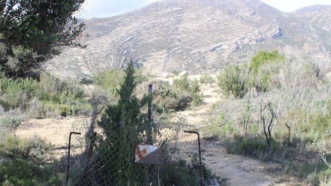 Los restos óseos hallados en la fosa de las niñas de Alcàsser coinciden con el ADN de Miriam