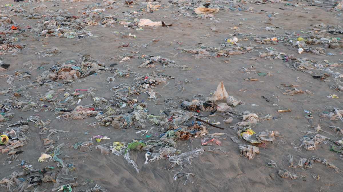 Contaminación del mar