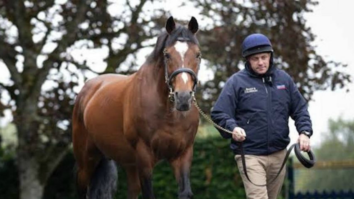 Galileo, el caballo de los 200 millones de euros.