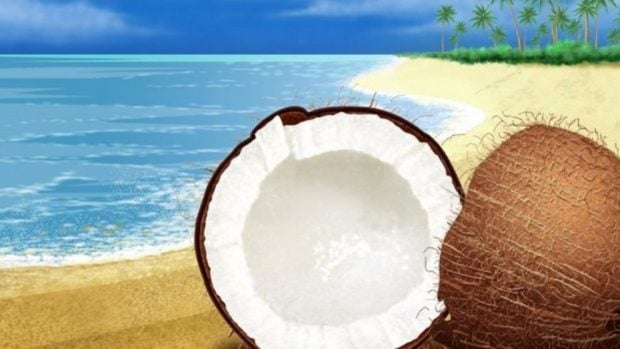 ¿El aceite de coco ayuda a adelgazar?