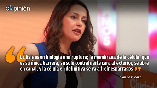 opinion-carlos-davila-(20)