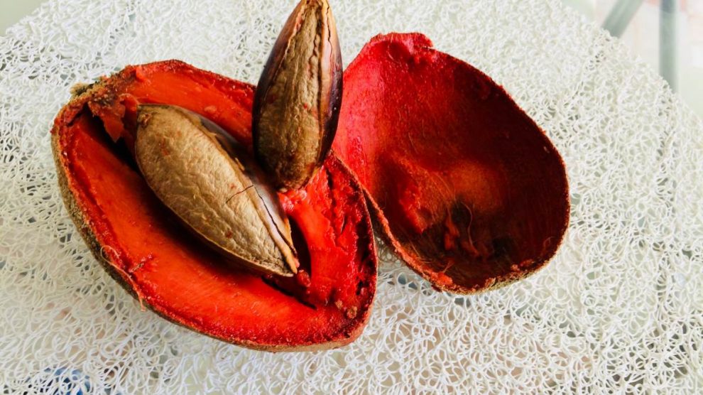 Alimentos afrodisiacos