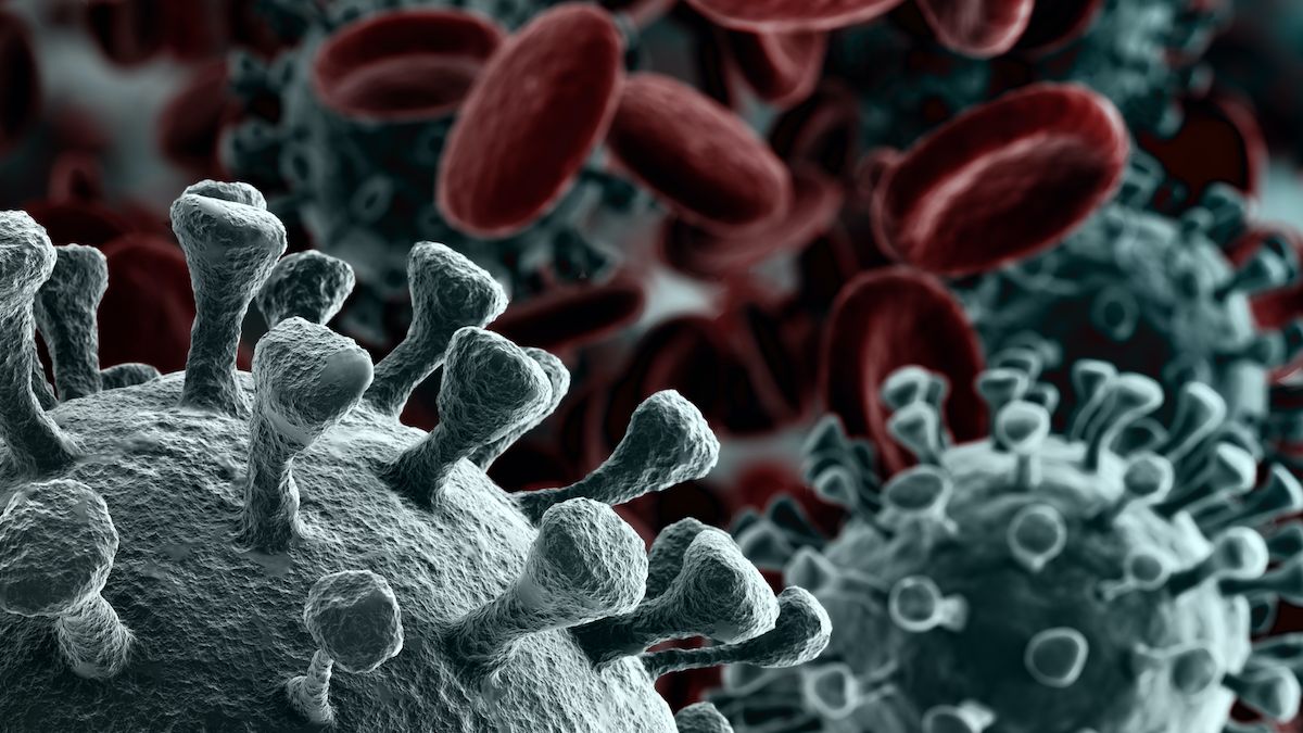 Coronavirus