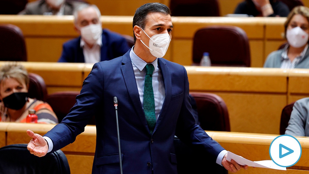 El presidente del Gobierno, Pedro Sánchez, este martes en el Senado.