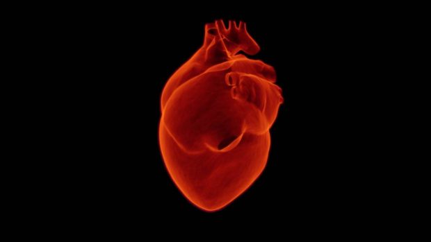 La cardiopatía isquémica