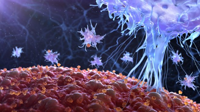 Terapias CAR-T: un innovador tratamiento con linfocitos T que ataca a las células tumorales