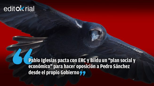 Cría cuervos y te sacarán los ojos