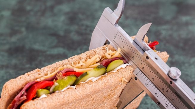 Comida y dieta