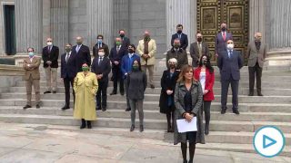 Diputados y diputadas de Vox se concentran en la Puerta de los Leones del Congreso con motivo del 25N, Día Internacional de la eliminación de la violencia contra las mujeres. Foto: EP