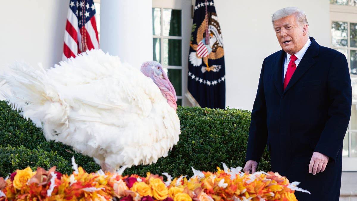 Donald Trump con el pavo que tradicionalmente se indulta cada año por Acción de Gracias. Foto: EP
