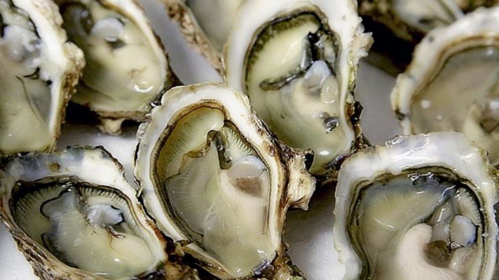 Descubre los mejores alimentos de diciembre para perder peso