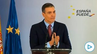 pedro sanchez Farmacia y Biología