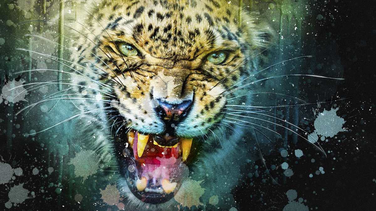 Animales: comportamiento agonístico