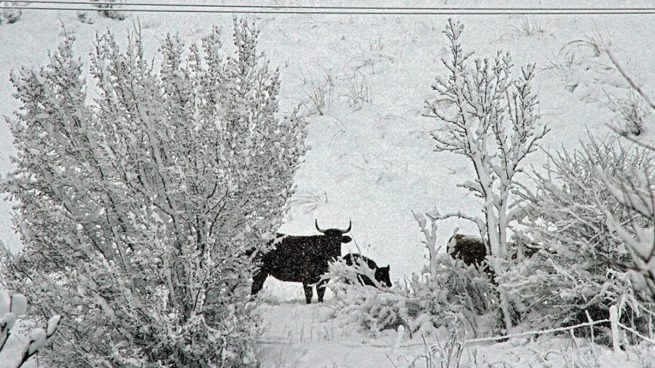 Una treintena de provincias estarán hoy en riesgo por viento, oleaje, aludes, lluvias y deshielo