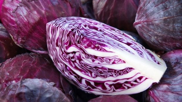 Receta col lombarda
