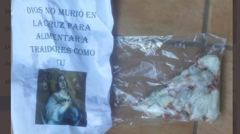 Ratas en la iglesia Nueva Vida de Santander.