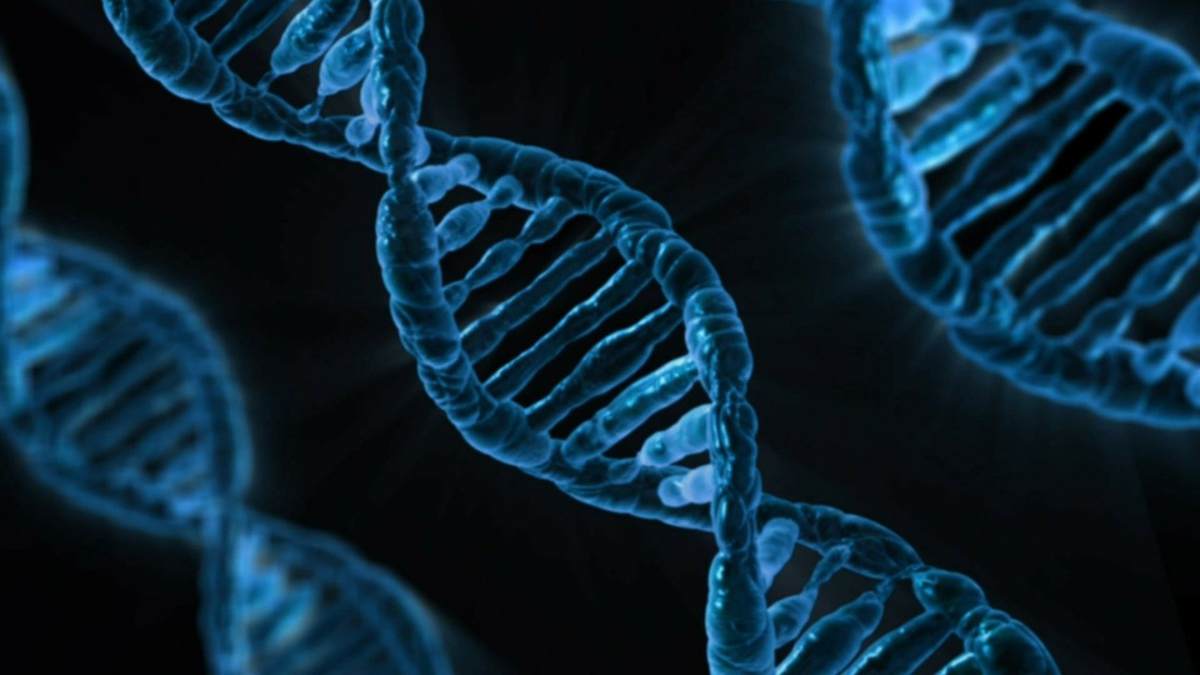 Epigenoma, cambios en genes