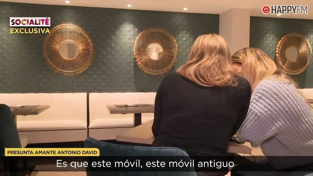 Socialité