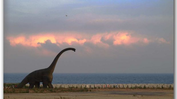 Cuál es el dinosaurio más raro descubierto?