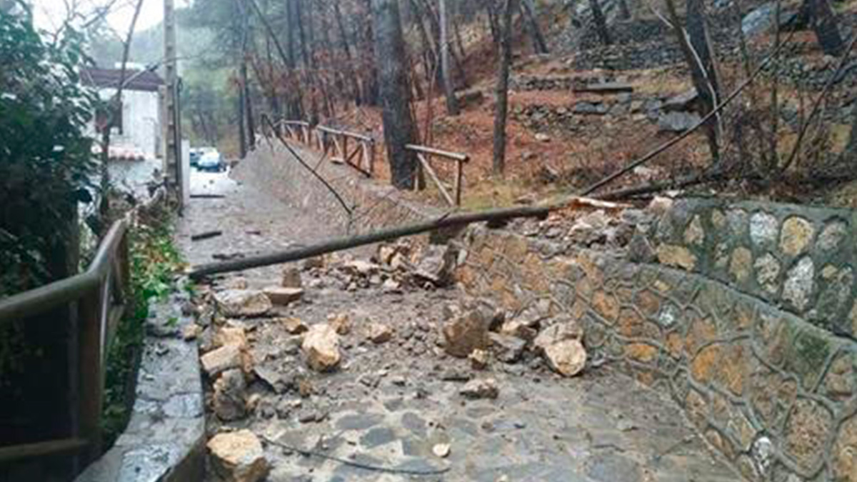 Un ejemplo de los destrozos causados por la borrasca Filomena en la comunidad andaluza.